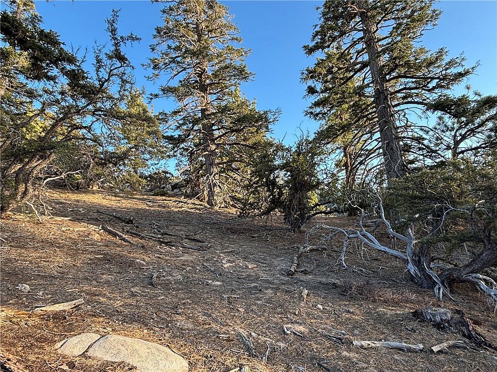 0 Ironwood Ln Angelus Oaks, CA 92305 - Thumbnail 4