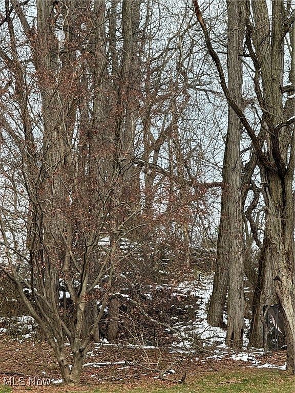 512 Ohio Ave Martins Ferry, OH 43935 - Thumbnail 4