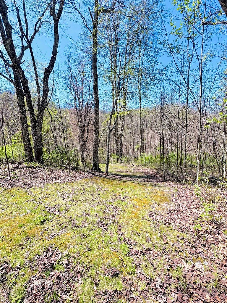 169 Everette Ln Odd, WV 25843 - Thumbnail 4