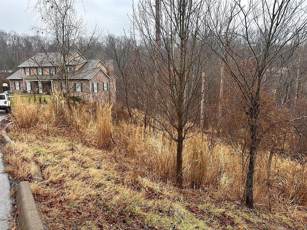 9 Joplin Pl South Charleston, WV 25303 - Thumbnail 4