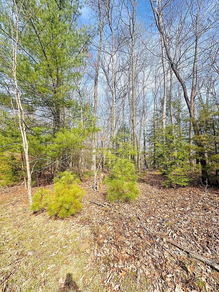 222 Highlands Ln Daniels, WV 25832 - Thumbnail 4