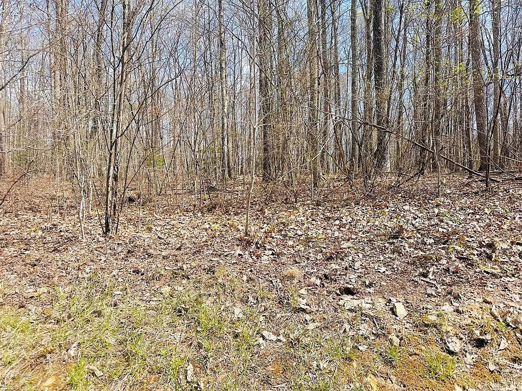248 Rothfield Cir Daniels, WV 25832 - Thumbnail 4