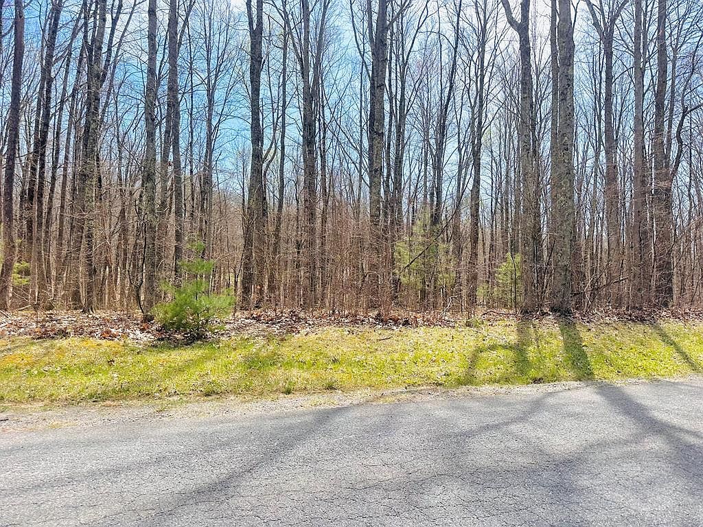 123 Leeds Ln Daniels, WV 25832 - Thumbnail 4
