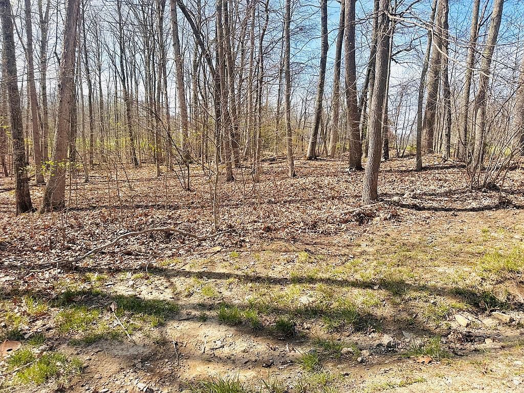 159 Saint Andrew Shady Spring, WV 25918 - Thumbnail 4