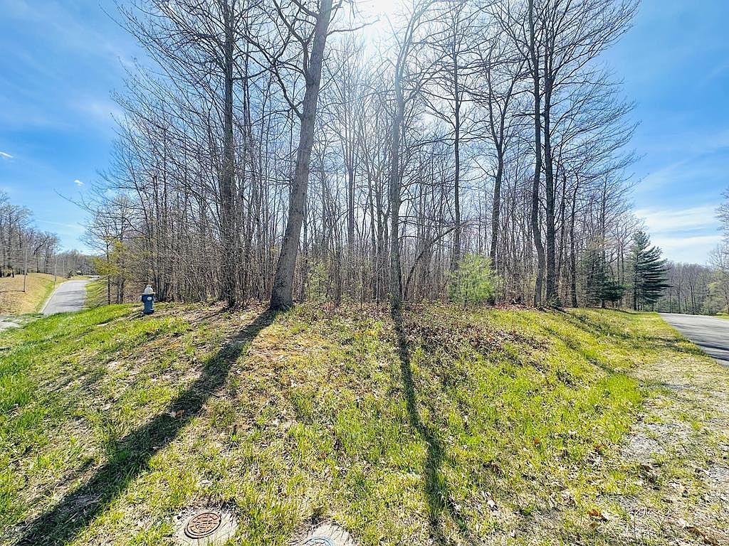 103 Saint Paul Ln Daniels, WV 25832 - Thumbnail 4
