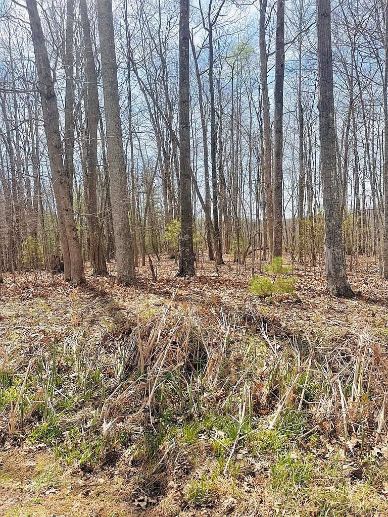 272 Leeds Ln Daniels, WV 25832 - Thumbnail 4
