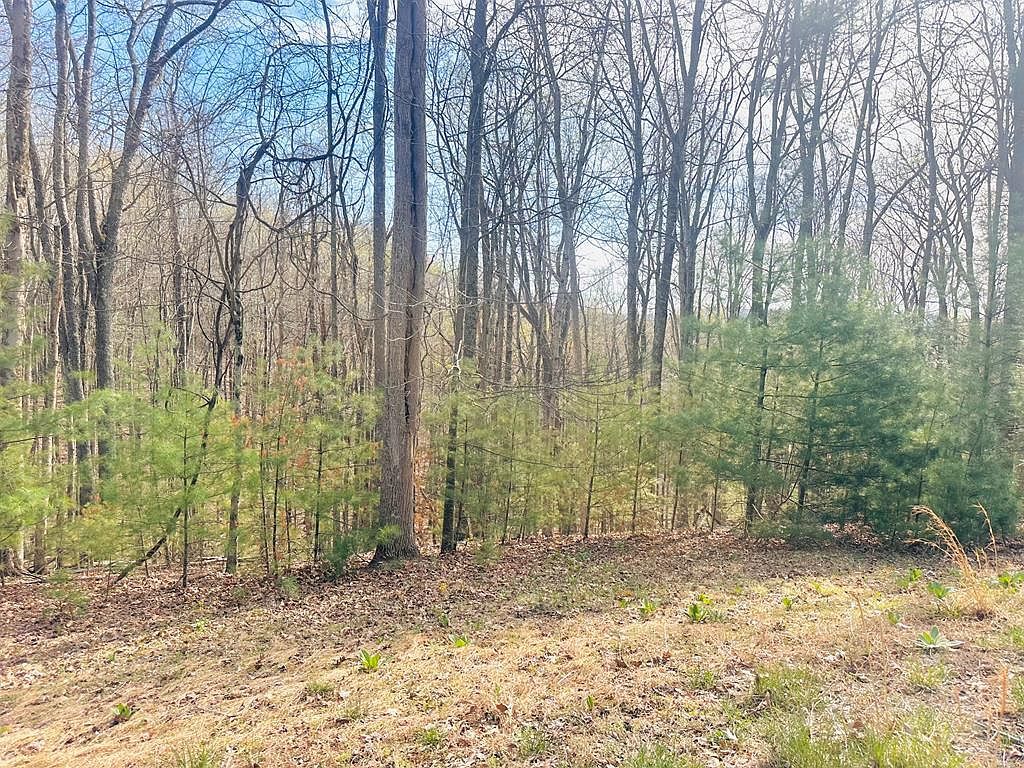 221 Windsor Ln Daniels, WV 25832 - Thumbnail 4
