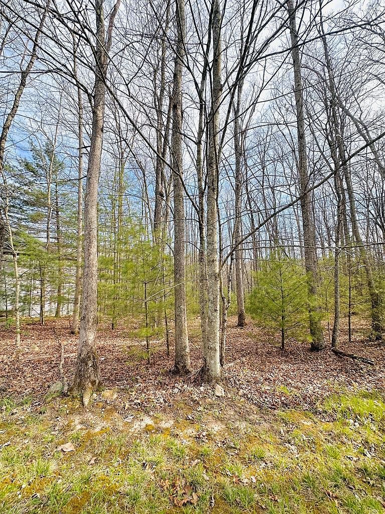 202 Glen Garden Ln Daniels, WV 25832 - Thumbnail 4