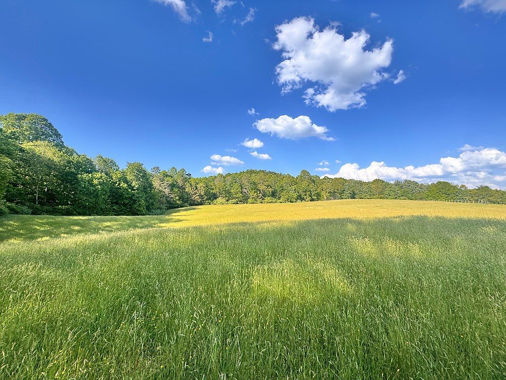 178 Grande Rd Fairdale, WV 25839 - Thumbnail 4