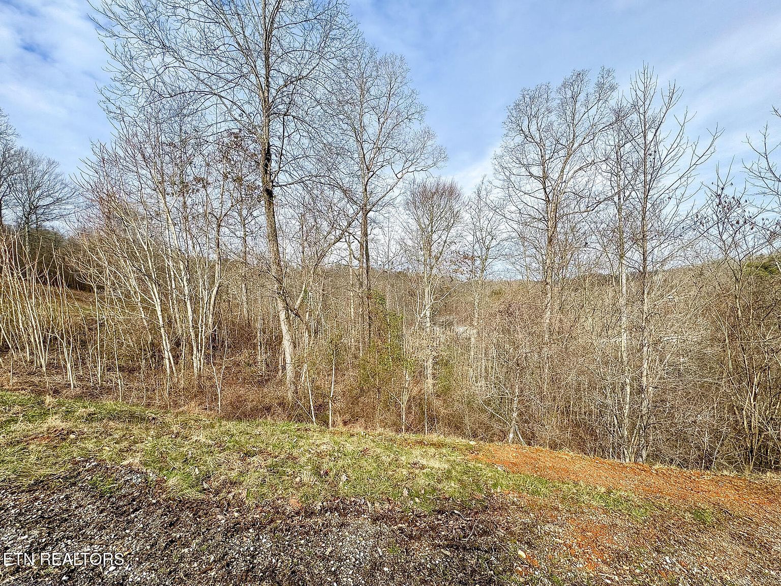 207 Suncrest Cv La Follette, TN 37766 - Thumbnail 4