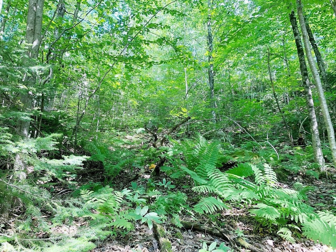 Outlot 1 Skye Dr Upson, WI 54565 - Thumbnail 4