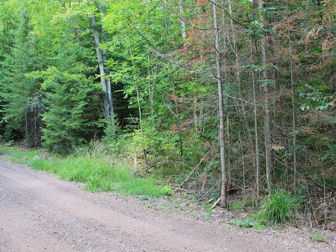 LOT 15 Alpine Dr Upson, WI 54565 - Thumbnail 4