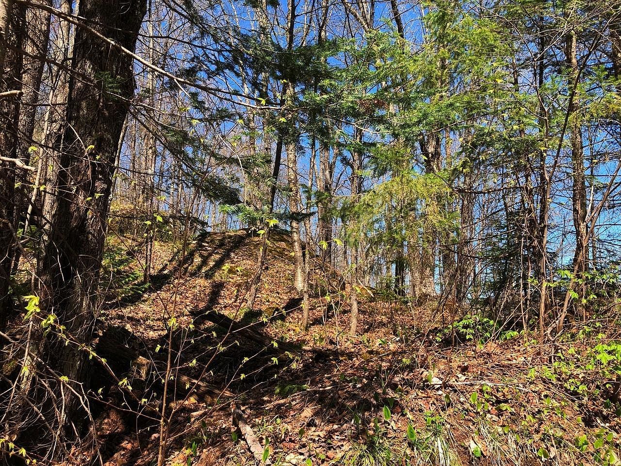 N Alpine Dr Lot 35 Upson, WI 54565 - Thumbnail 4