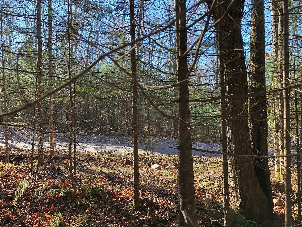 Off Boxberger Dr Lot 4 Presque Isle, WI 54557 - Thumbnail 4