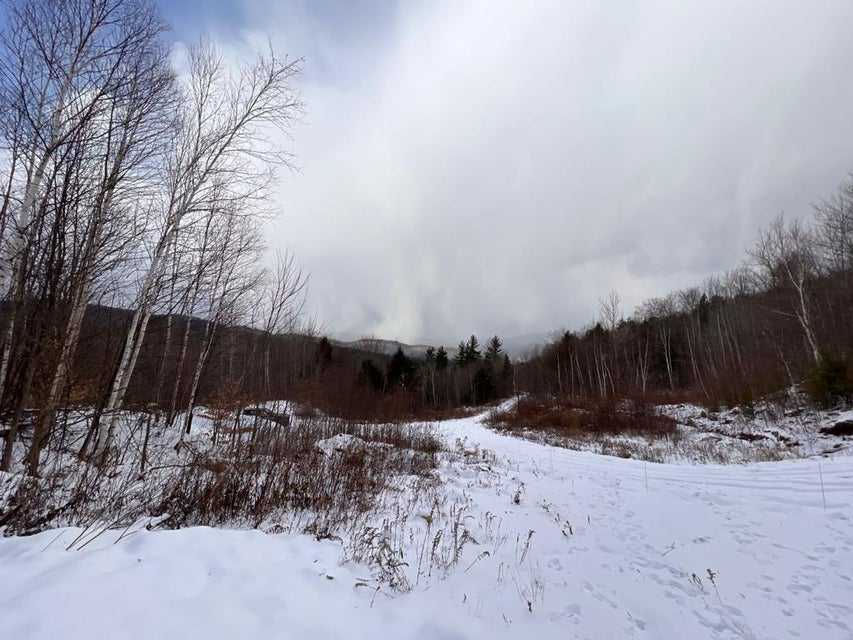 Lot 1 S Rumford Road  | Land/Lot