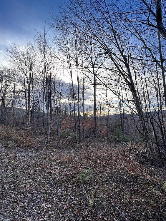 Upper Brown Rd LOT 7-2 Oakfield, ME 04763 - Thumbnail 4