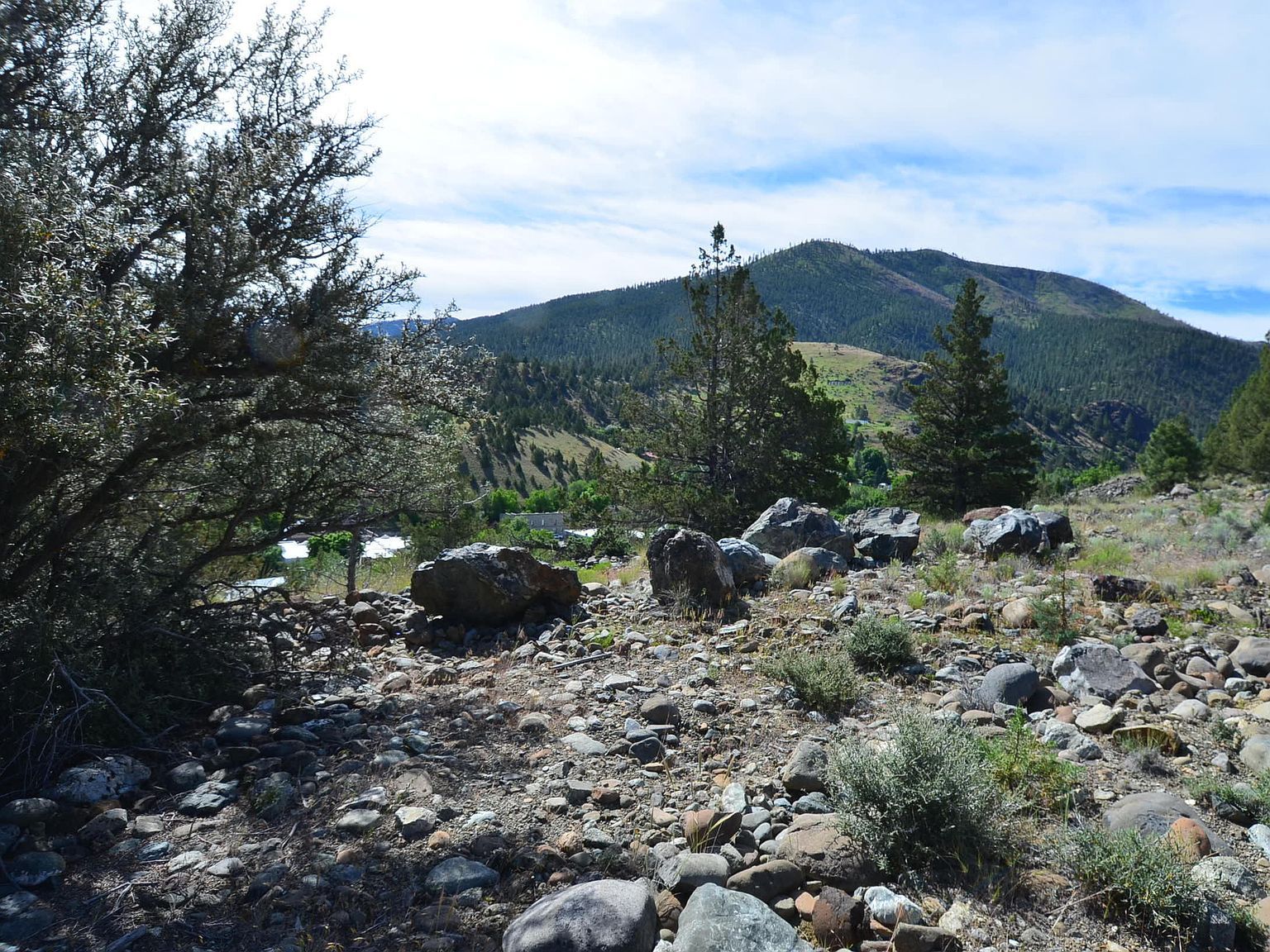 216 Elkview Dr Canyon City, OR 97820 - Thumbnail 4