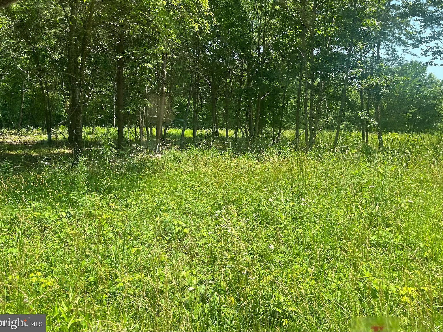 1 Kentucky Springs Rd Bumpass, VA 23024  | Land/Lot