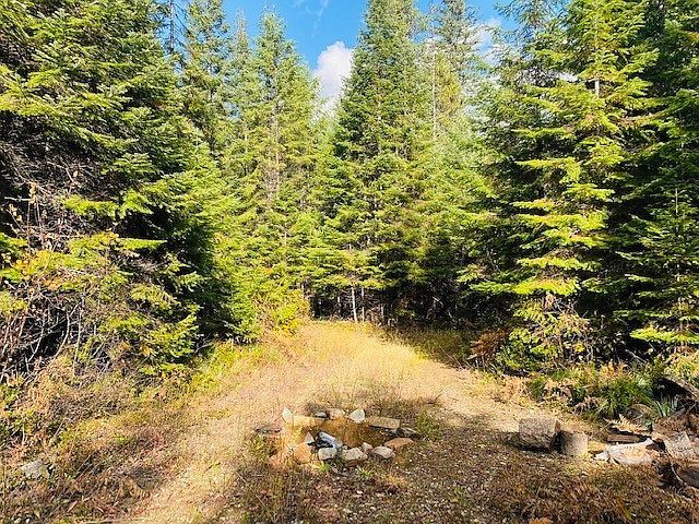 Nhn Pilgrim Creek Rd Noxon, MT 59853 - Thumbnail 4