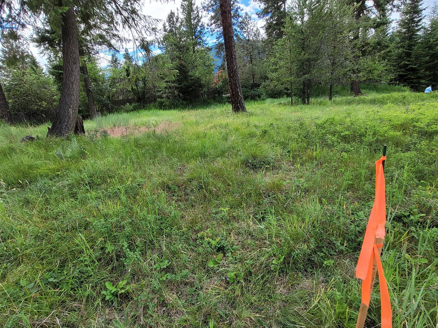 Nhn Mossy Rock Ct Thompson Falls, MT 59873 - Thumbnail 4