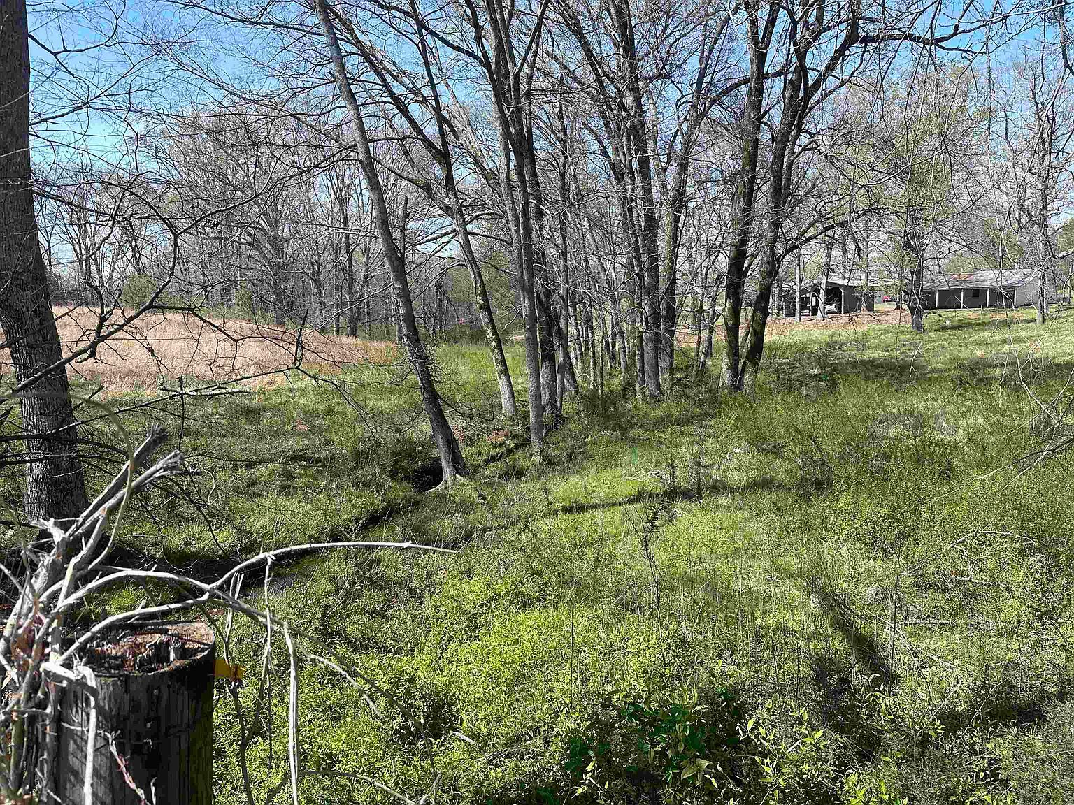 3.14 Acres Hwy #101 Rogersville, AL 35652  | Land/Lot