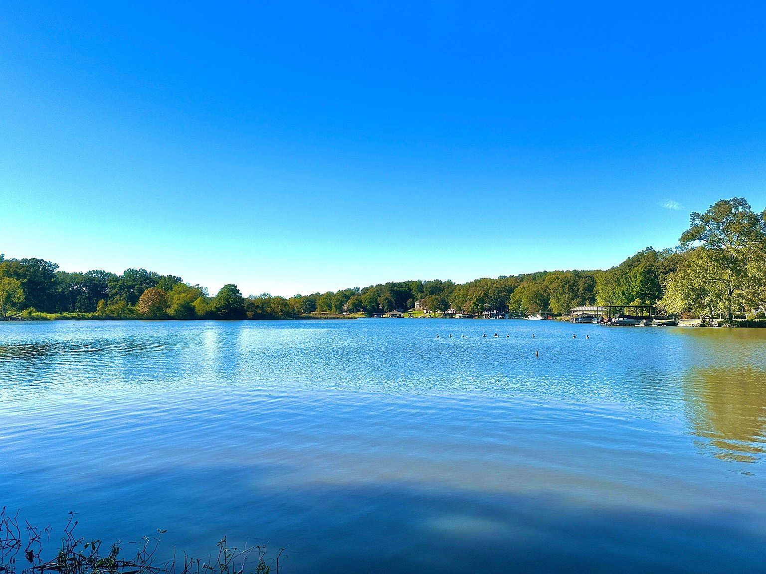 145 Lakewood Dr Muscle Shoals, AL 35661 - Thumbnail 4