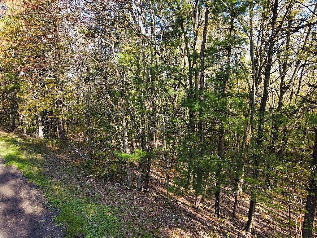 0 Hungerford Rd Ithaca, NY 14850 - Thumbnail 4