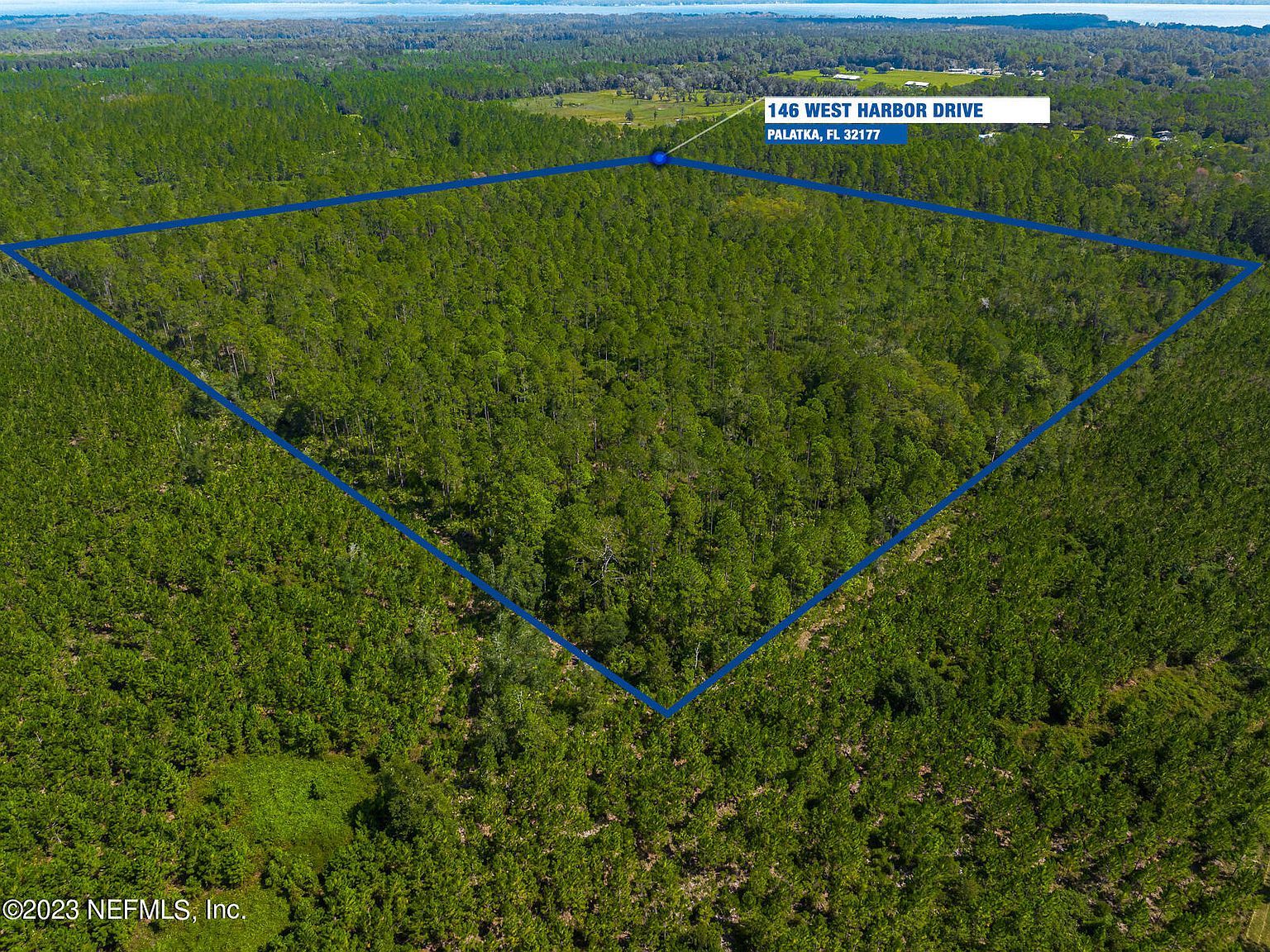 146 W Harbor Dr Palatka, FL 32177 - Thumbnail 4