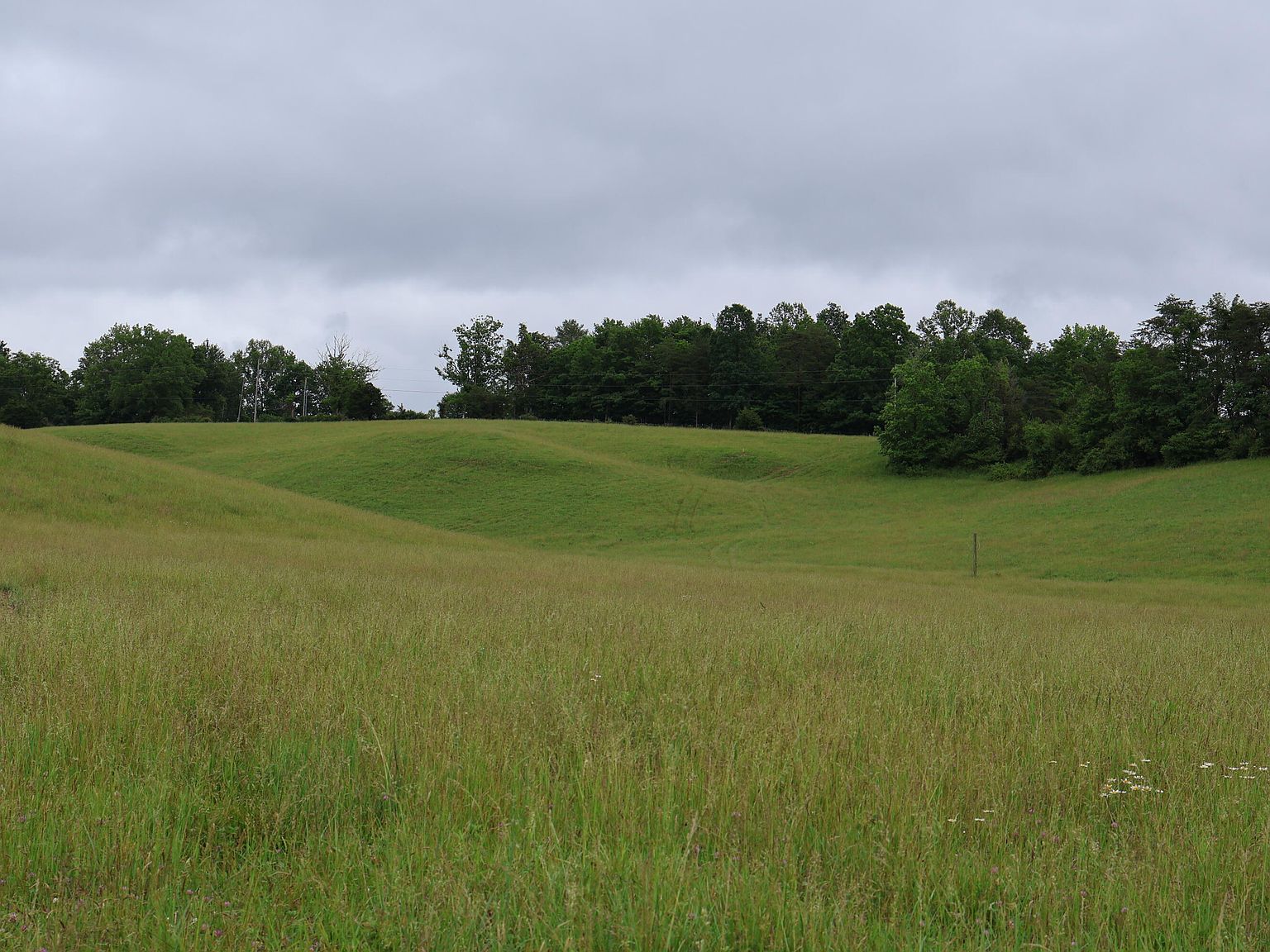 4135 Big Andy Rdg Tract 7 Rogers, KY 41365 - Thumbnail 4