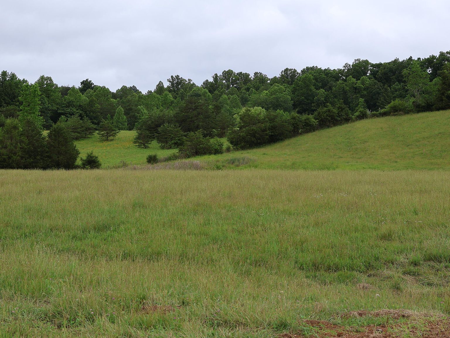 4135 Big Andy Rdg Tract 5 Rogers, KY 41365 - Thumbnail 4