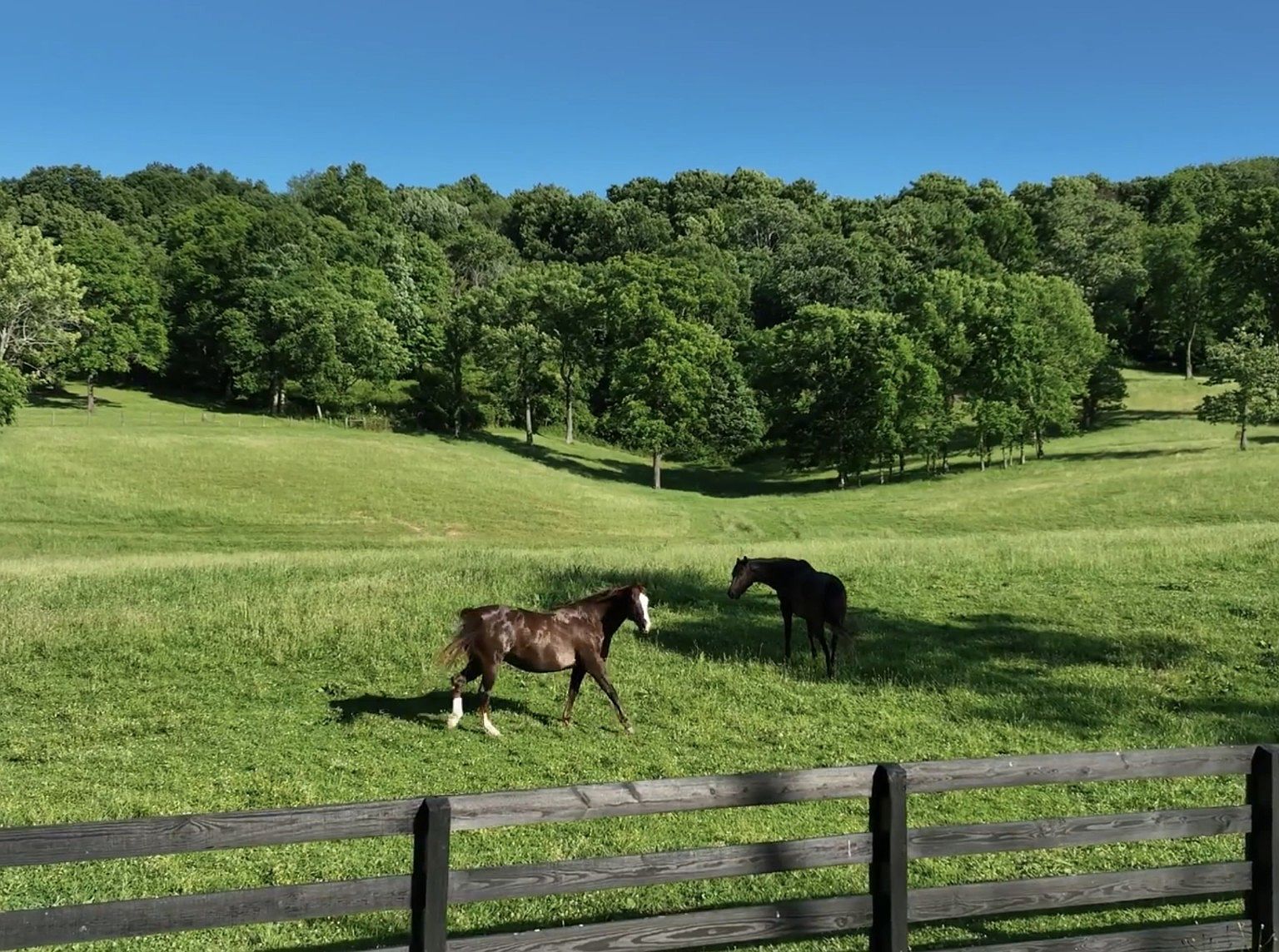 9553 Clovercroft Rd Franklin, TN 37067 - Thumbnail 4