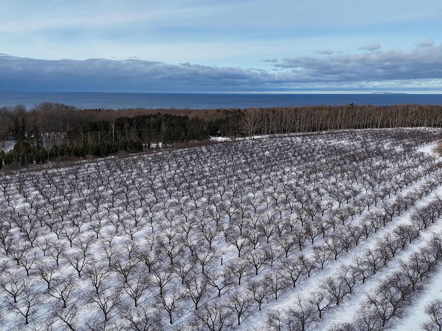 N Manitou Trl Northport, MI 49670 - Thumbnail 4