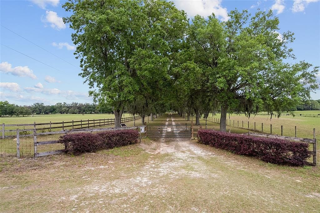 3149 SW 200th Ave Dunnellon, FL 34431 - Thumbnail 4