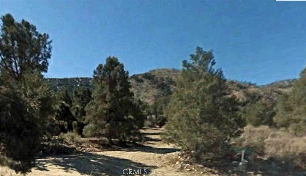 LOT 59th Ave E Big Bear City, CA 92314 - Thumbnail 4