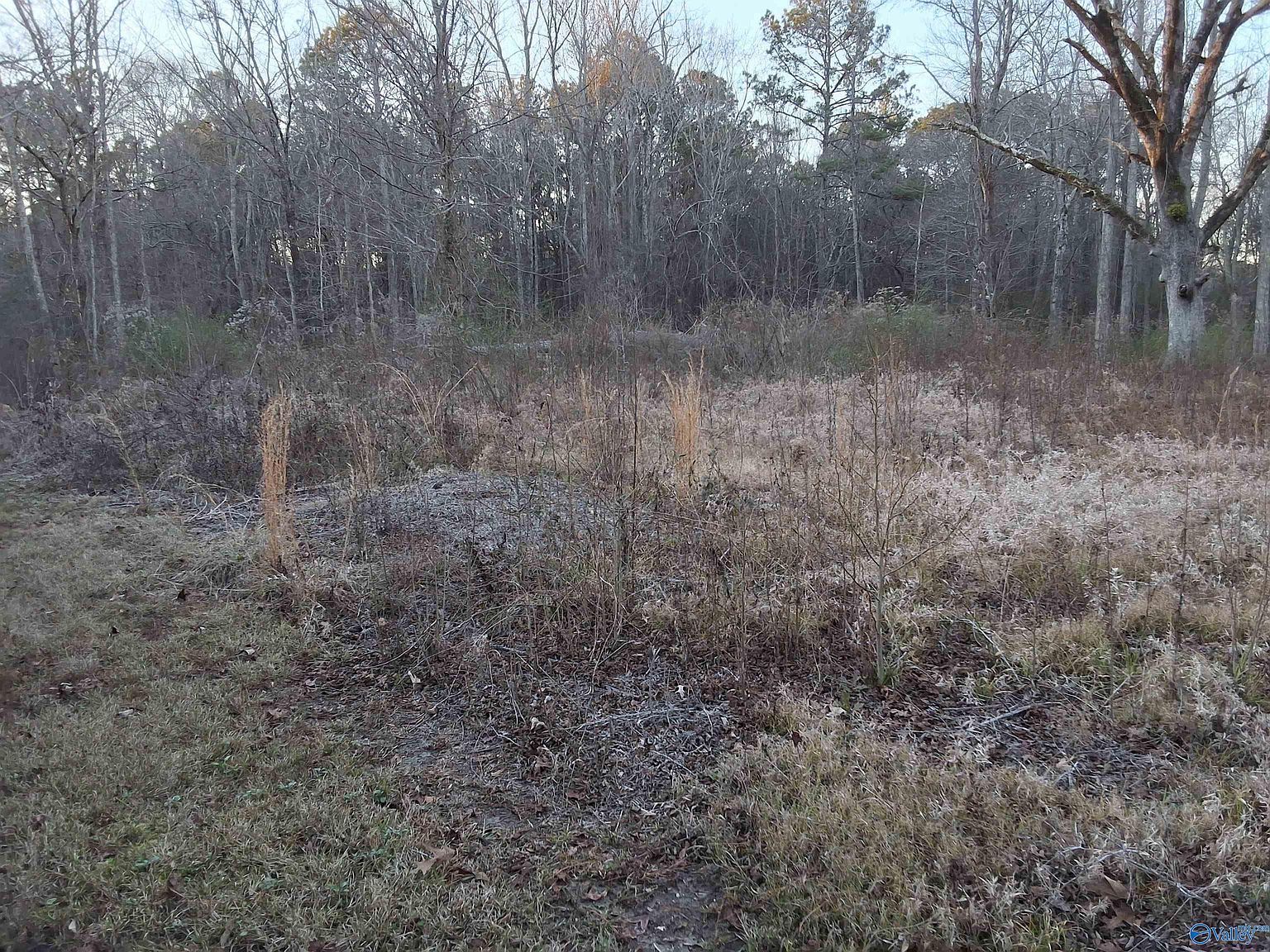 Euclid Rd Gadsden, AL 35903 - Thumbnail 4