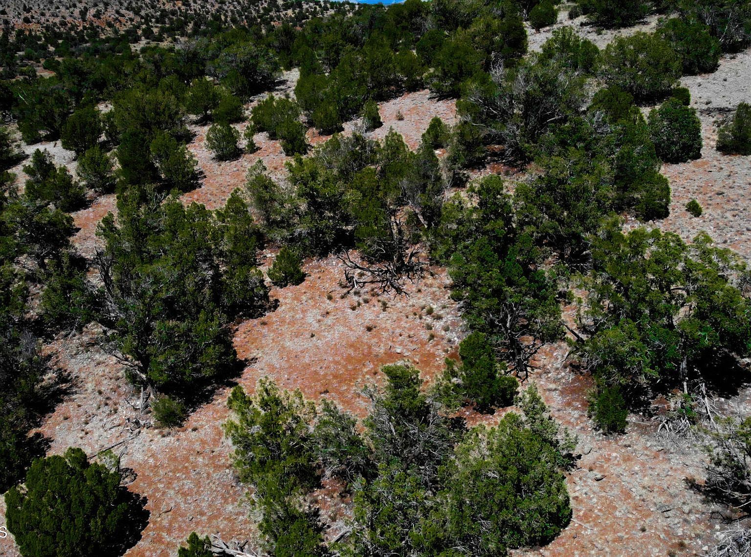 15-2C-4 Unnamed Rd Seligman, AZ 86337 - Thumbnail 4