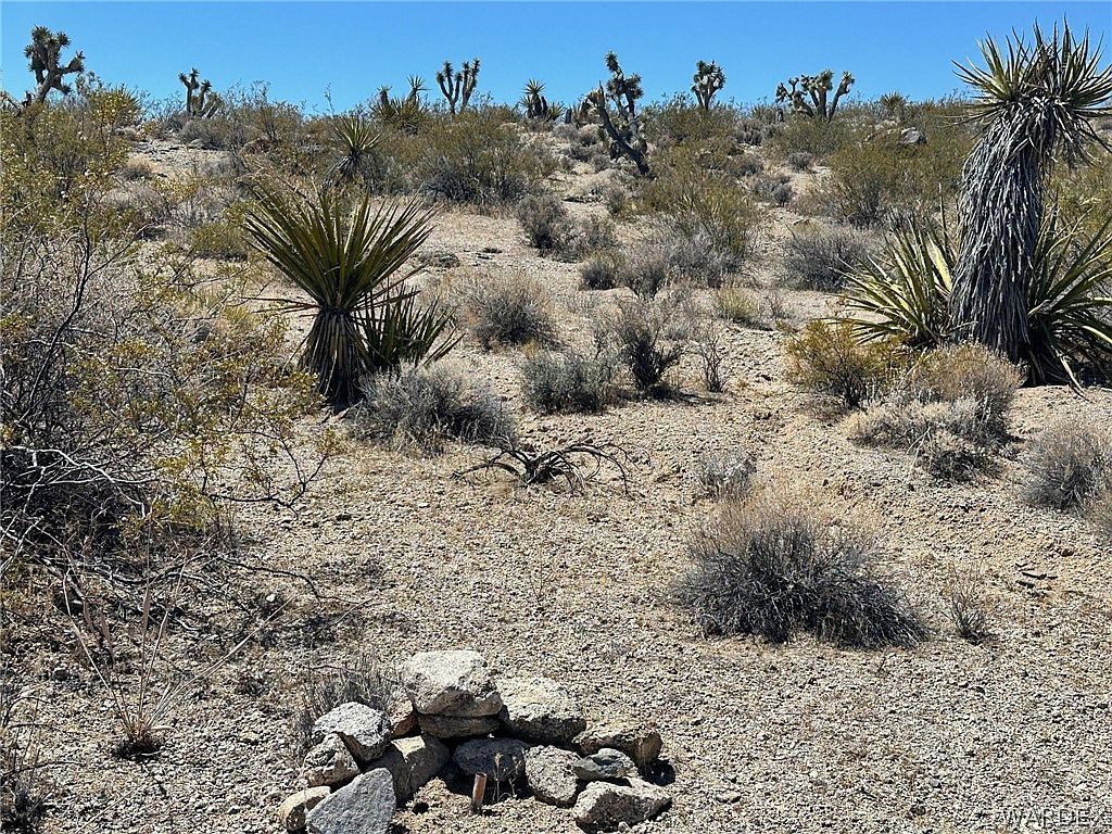 1590 W La Jolla Cir Meadview, AZ 86444 - Thumbnail 4