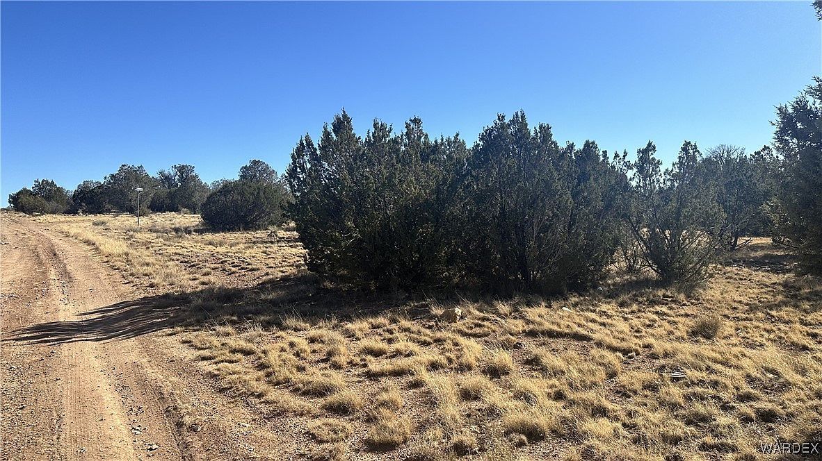 1377 W Sunset Dr Seligman, AZ 86337 - Thumbnail 4