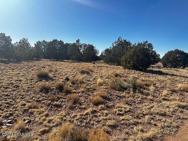 234N W Brothers Rd Seligman, AZ 86337 - Thumbnail 4