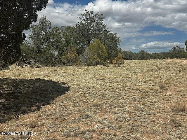 0 Antler Trl Seligman, AZ 86337 - Thumbnail 4