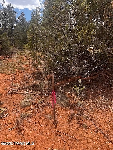 32941 Montecito Ln Seligman, AZ 86337 - Thumbnail 4