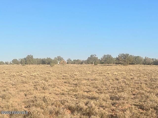 349N W Rocky Top Rd Seligman, AZ 86337 - Thumbnail 4