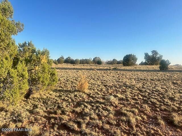 349S W Rocky Top Rd Seligman, AZ 86337 - Thumbnail 4