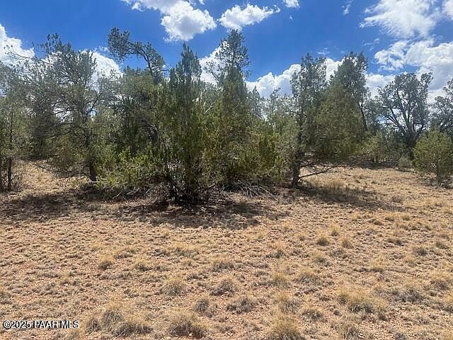 51739 Cisne Cir Seligman, AZ 86337 - Thumbnail 4