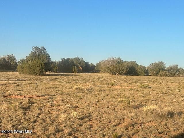 349S E Rocky Top Rd Seligman, AZ 86337 - Thumbnail 4