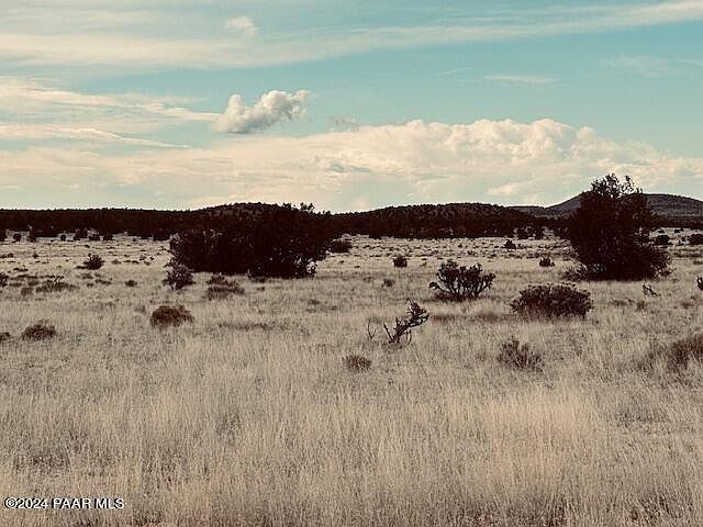 424N W Deliverance Rd Seligman, AZ 86337 - Thumbnail 4