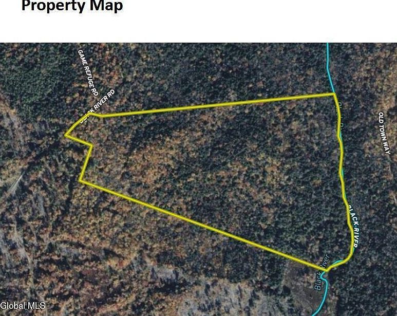 L2111 Black River Rd Stephentown, NY 12169 - Thumbnail 4