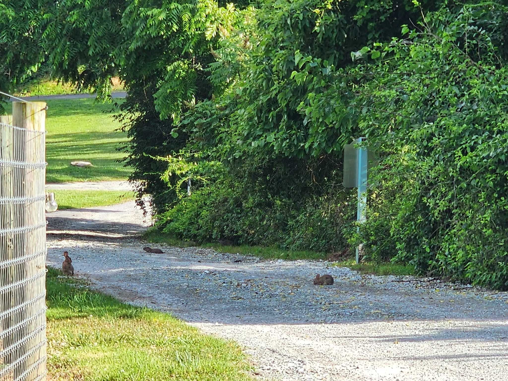 8272 Woodbine Road, Airville, PA, USA, 17302 - Thumbnail 5