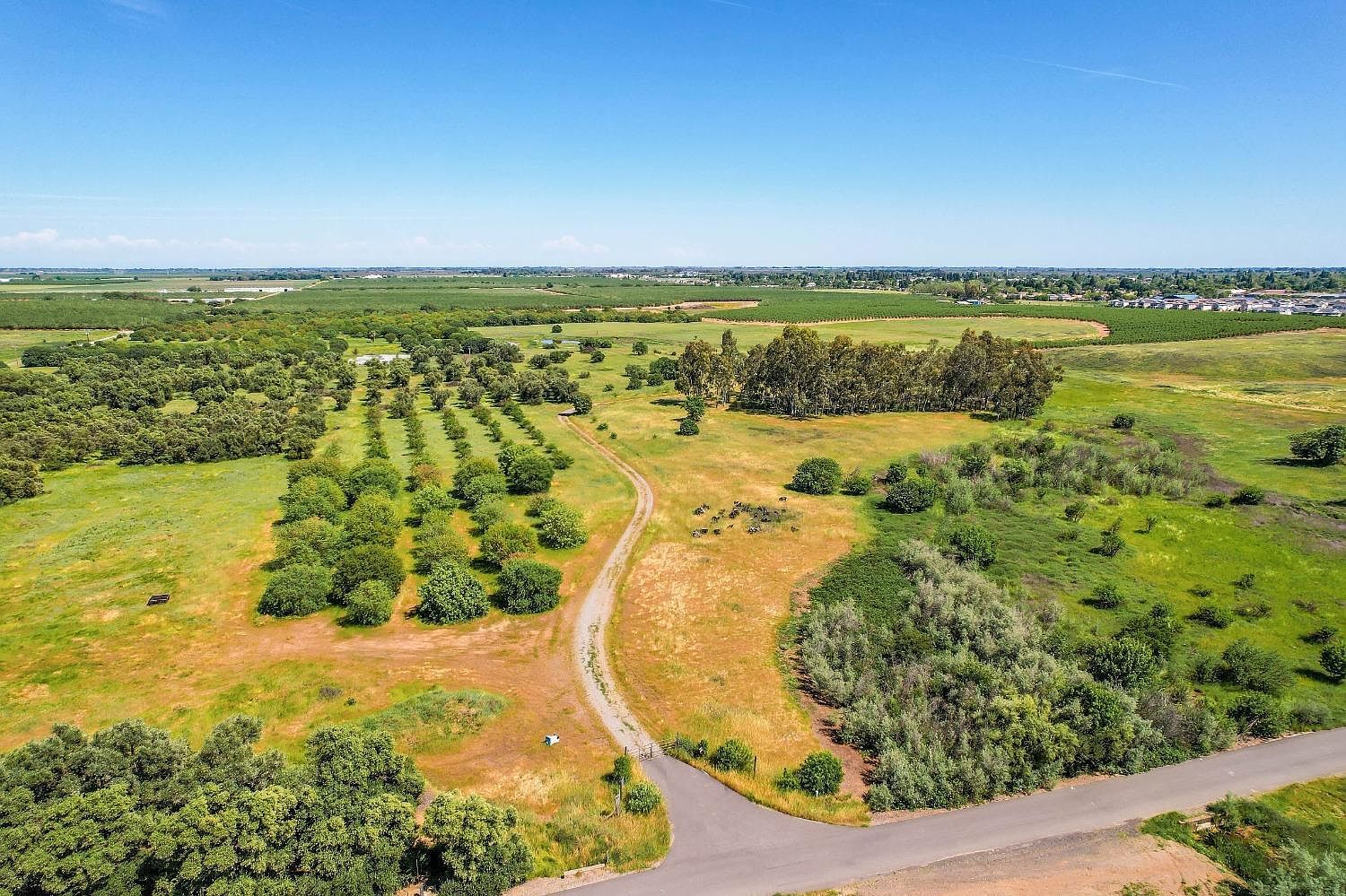 27643 County Road 88 Winters, CA 95694 - Thumbnail 4