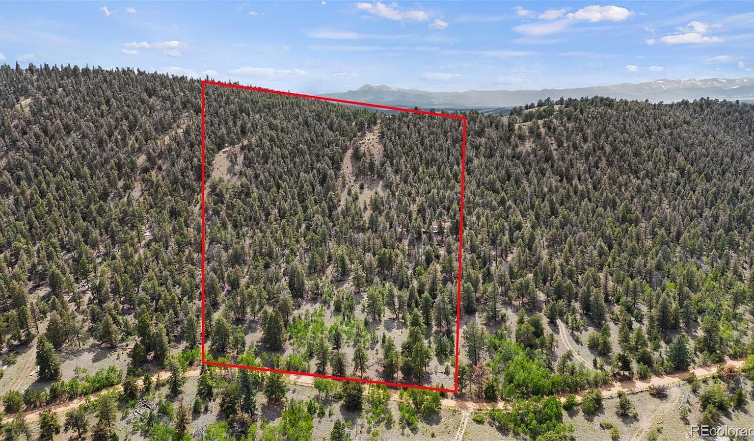 1833 Fitzsimmons Dr Hartsel, CO 80449 - Thumbnail 4